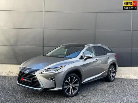 Used LEXUS RX Hybrid 2019 Ad 