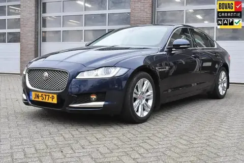 Annonce JAGUAR XF Essence 2016 d'occasion 