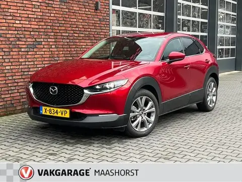 Used MAZDA CX-30 Hybrid 2021 Ad 