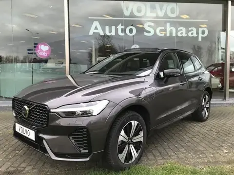 Annonce VOLVO XC60 Hybride 2023 d'occasion 