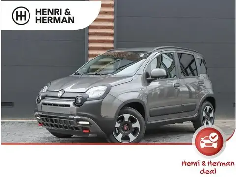 Annonce FIAT PANDA Hybride 2024 d'occasion 