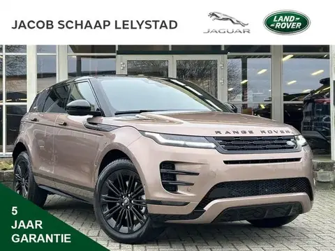 Used LAND ROVER RANGE ROVER EVOQUE Hybrid 2024 Ad 