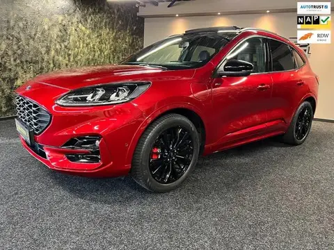 Annonce FORD KUGA Hybride 2020 d'occasion 