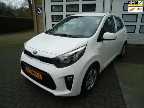 Used KIA PICANTO Petrol 2019 Ad 