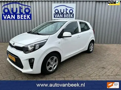 Used KIA PICANTO Petrol 2019 Ad 