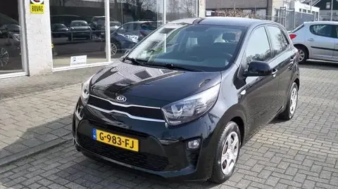 Used KIA PICANTO Petrol 2019 Ad 