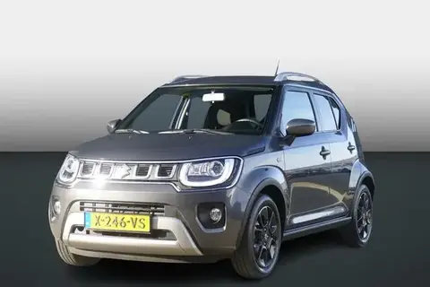 Annonce SUZUKI IGNIS Hybride 2021 d'occasion 