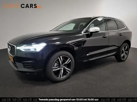 Used VOLVO XC60 Petrol 2019 Ad 