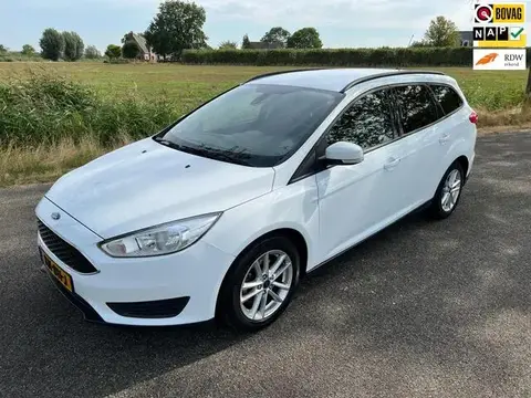 Used FORD FOCUS Petrol 2016 Ad 