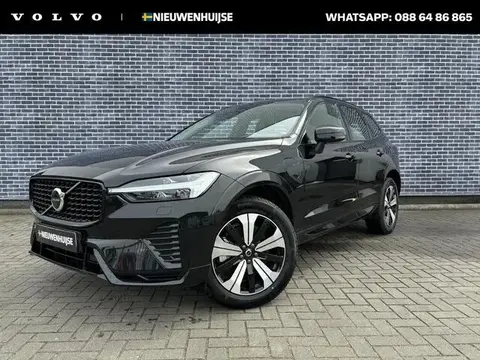 Used VOLVO XC60 Hybrid 2023 Ad 