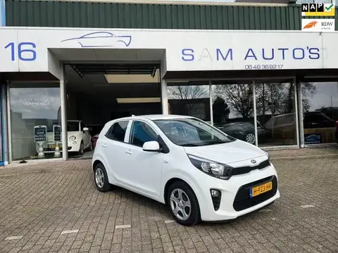 Annonce KIA PICANTO Essence 2020 d'occasion 