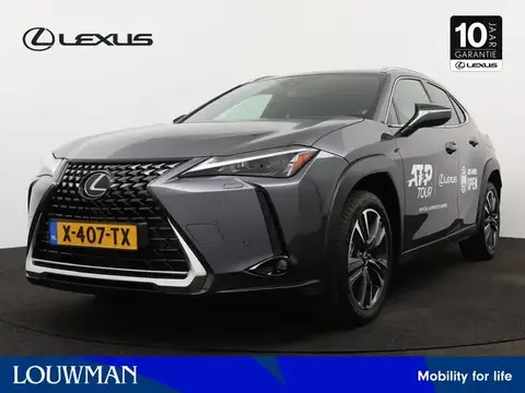 Used LEXUS UX Hybrid 2024 Ad 