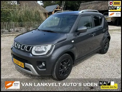 Annonce SUZUKI IGNIS Hybride 2023 d'occasion 