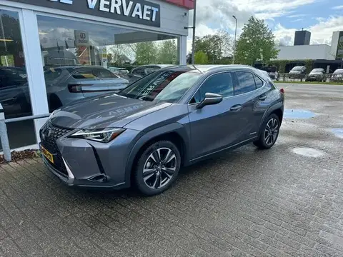 Used LEXUS UX Hybrid 2019 Ad 