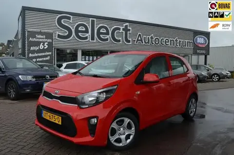 Annonce KIA PICANTO Essence 2019 d'occasion 