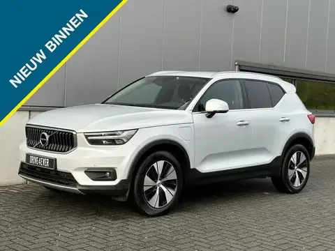 Annonce VOLVO XC40 Hybride 2020 d'occasion 