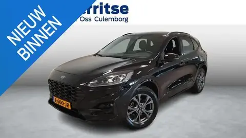 Annonce FORD KUGA Hybride 2023 d'occasion 