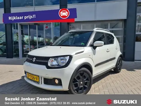 Used SUZUKI IGNIS Petrol 2019 Ad 