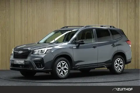 Used SUBARU FORESTER Hybrid 2019 Ad 