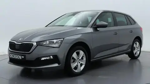 Used SKODA SCALA Petrol 2023 Ad 