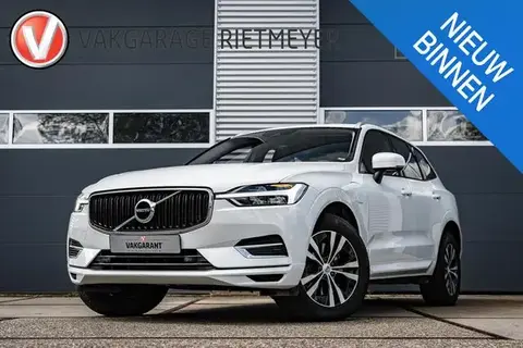 Used VOLVO XC60 Hybrid 2020 Ad 