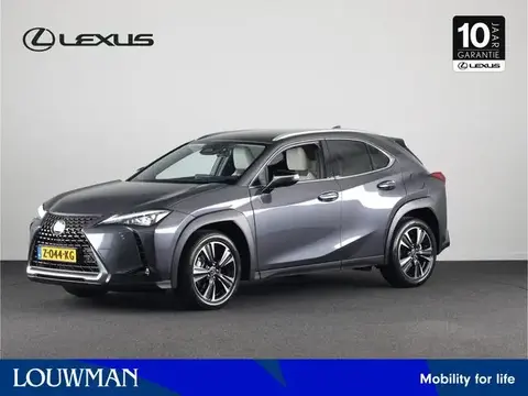 Used LEXUS UX Hybrid 2024 Ad 