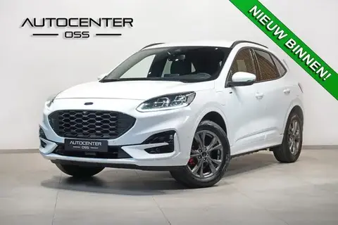 Annonce FORD KUGA Hybride 2022 d'occasion 