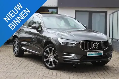 Annonce VOLVO XC60 Hybride 2019 d'occasion 