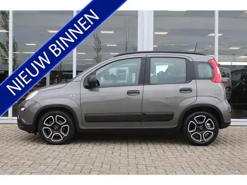 Annonce FIAT PANDA Essence 2022 d'occasion 