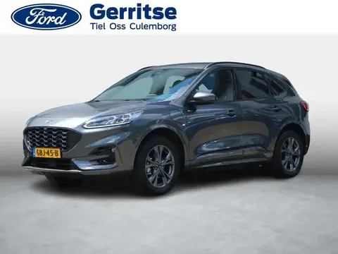 Annonce FORD KUGA Hybride 2023 d'occasion 