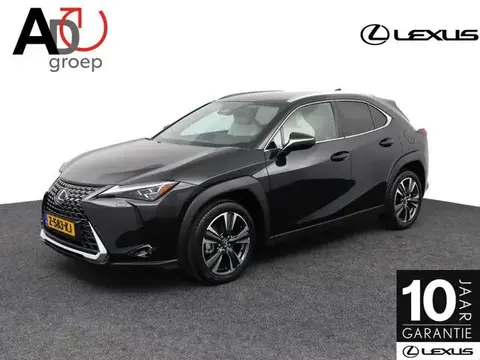 Used LEXUS UX Hybrid 2024 Ad 