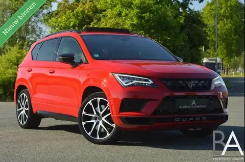 Annonce CUPRA ATECA Essence 2019 d'occasion 