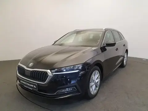 Used SKODA OCTAVIA Petrol 2024 Ad 