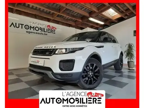 Used LAND ROVER RANGE ROVER EVOQUE Diesel 2019 Ad 