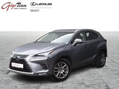 Used LEXUS NX Hybrid 2019 Ad 