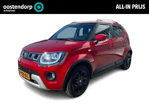 Annonce SUZUKI IGNIS Hybride 2023 d'occasion 