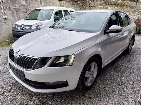 Annonce SKODA OCTAVIA Essence 2017 d'occasion 