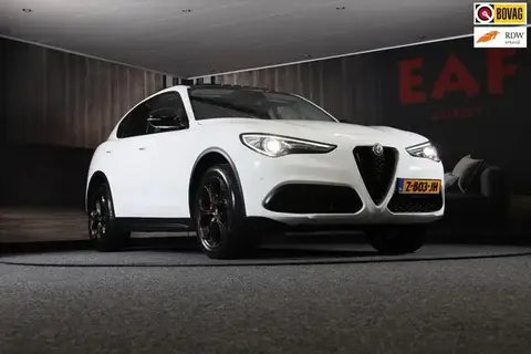 Used ALFA ROMEO STELVIO Petrol 2019 Ad 