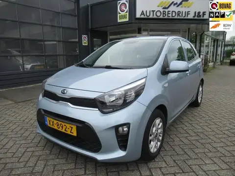 Used KIA PICANTO Petrol 2019 Ad 