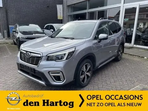 Annonce SUBARU FORESTER Hybride 2021 d'occasion 