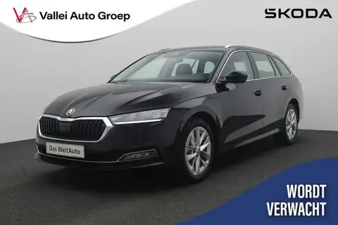 Used SKODA OCTAVIA Petrol 2023 Ad 