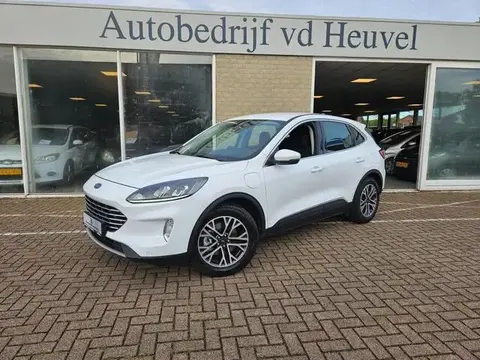 Used FORD KUGA Hybrid 2020 Ad 