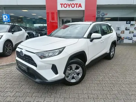 Used TOYOTA RAV4 Hybrid 2024 Ad 