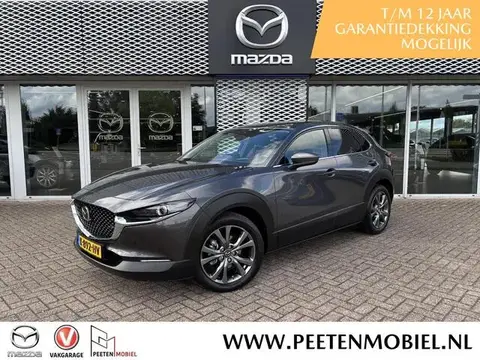 Used MAZDA CX-30 Hybrid 2021 Ad 