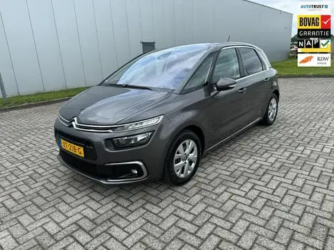 Used CITROEN C4 Petrol 2019 Ad 