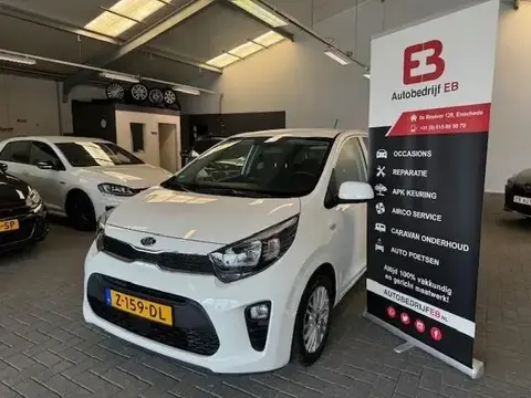 Used KIA PICANTO Petrol 2017 Ad 