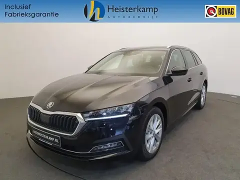 Used SKODA OCTAVIA Petrol 2024 Ad 