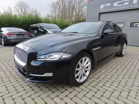 Used JAGUAR XJ Diesel 2018 Ad 