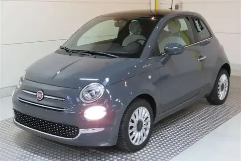 Used FIAT 500 Petrol 2021 Ad 