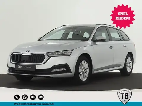 Annonce SKODA OCTAVIA Essence 2023 d'occasion 